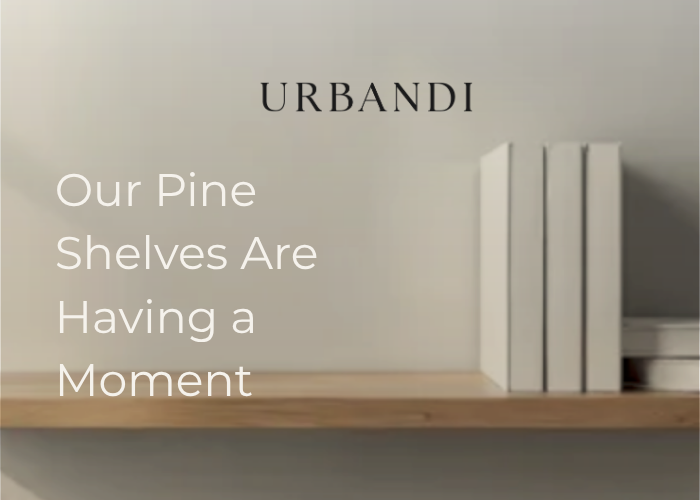 Case Study: How Urbandi Achieved a 6.03 ROAS Through Brand Repositioning